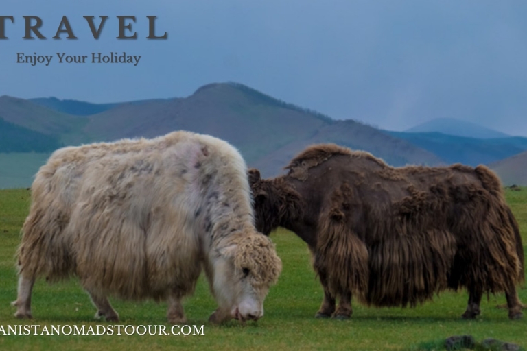 Terelj ,Khar khorum ,Paseo a caballo , Paseo en camello , Monasterio¿Quieres pasar un tiempo ocupado en Mongolia? visitando ,aprendiendo