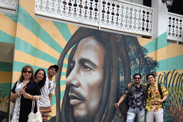 Desde la bahía de Falmouth: tour por el Museo Bob Marley y Nine Mile