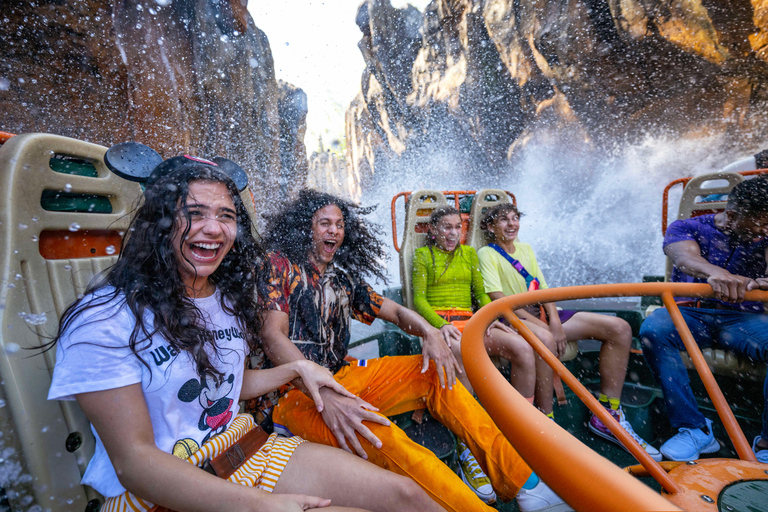 Limited Time Offer: Disney 4-Day, 4-Parks Magic Ticket 2-Day Walt Disney World Tickets with Park Hopper