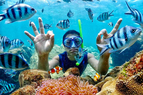 From Pattaya: Private Speedboat to Nemo Island with Snorkel From Pattaya: Private Speedboat Tour Samaesan with Snorkel