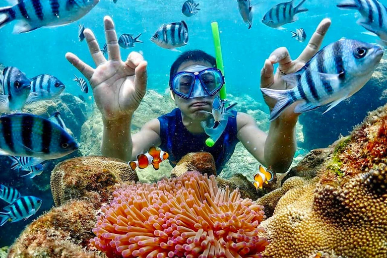 From Pattaya: Private Speedboat to Nemo Island with Snorkel From Pattaya: Private Speedboat Tour Samaesan with Snorkel