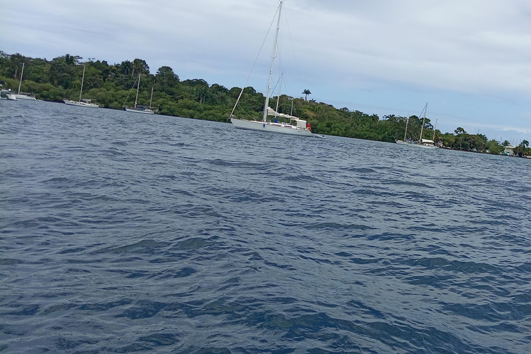 Bocas del Toro: tour en barco por Playa Estrella con guía