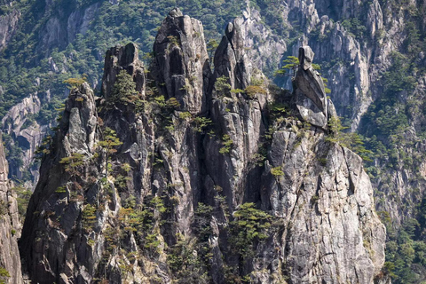 Huangshan: Mountain Top Day Trip with Cable Car and Pickup