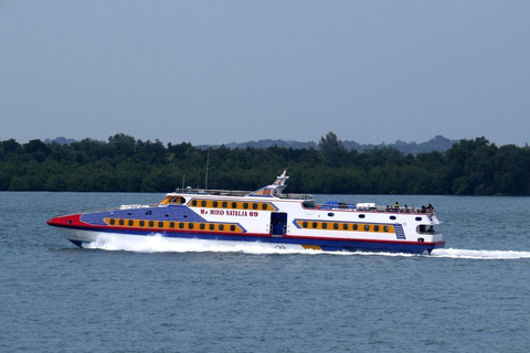 Gili Trawangan: Fast Boat Transfer to Serangan, Bali