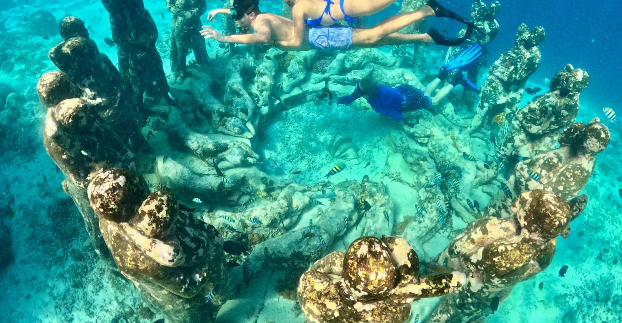 Îles Gili, voyage en bateau de plongée privée ou partagée - Hizvo