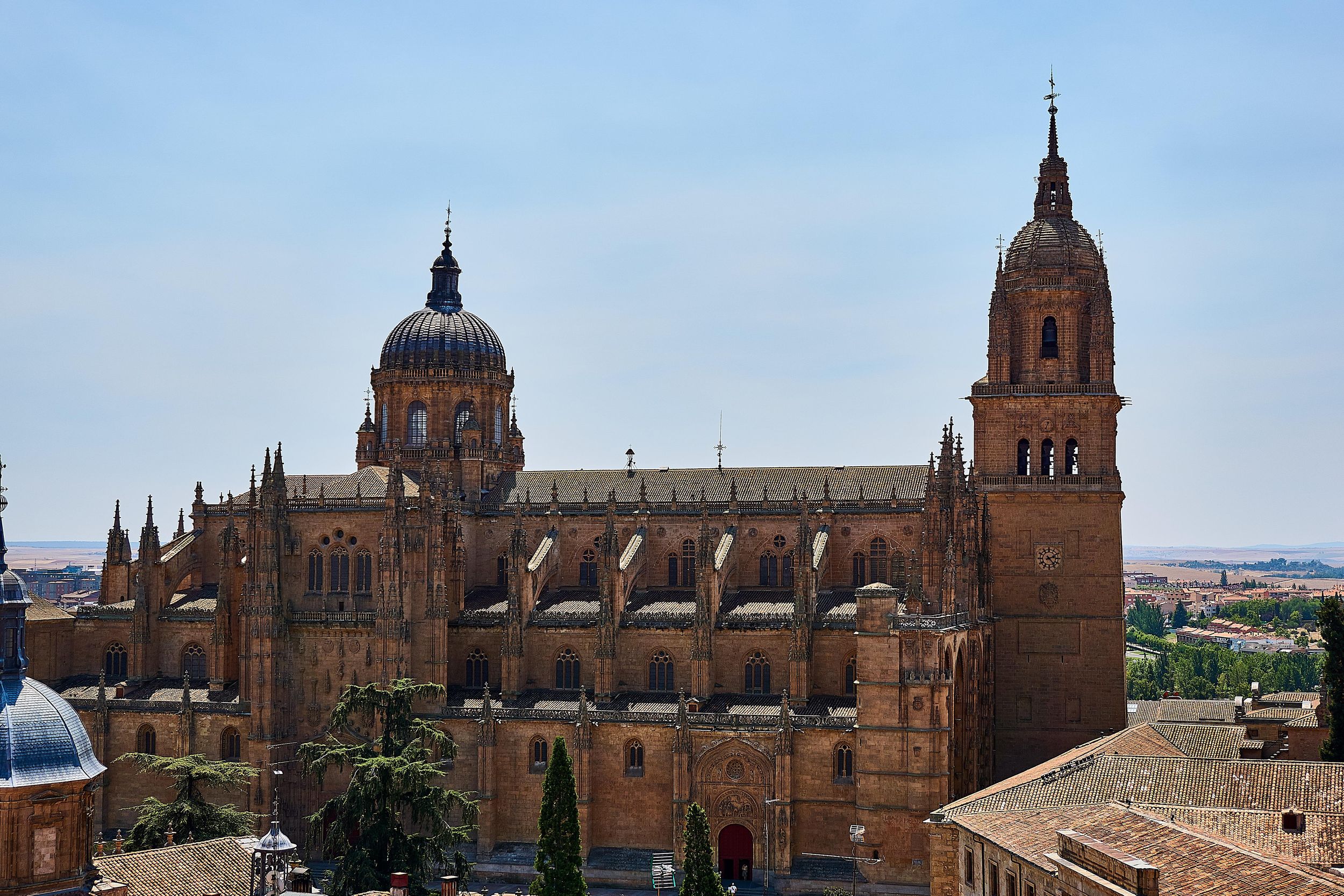 Führung durch die Kathedralen von Salamanca