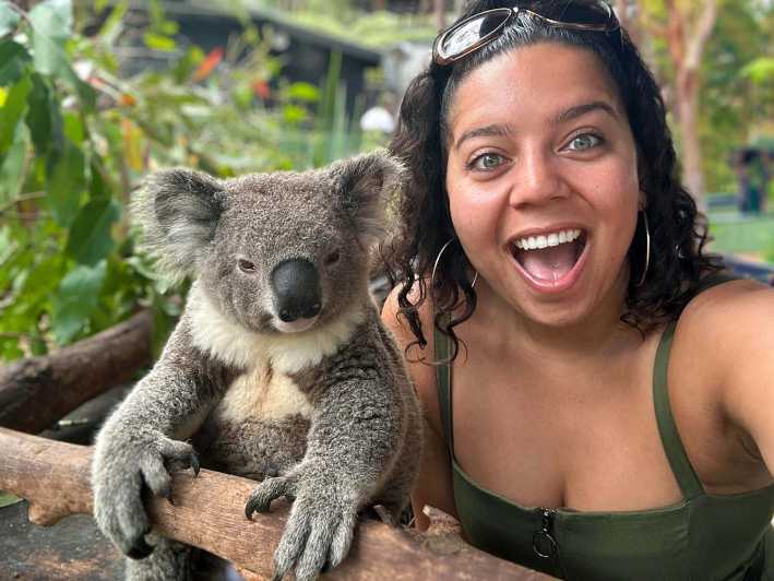 悉尼：自然与野生动物 - 一日游澳大利亚