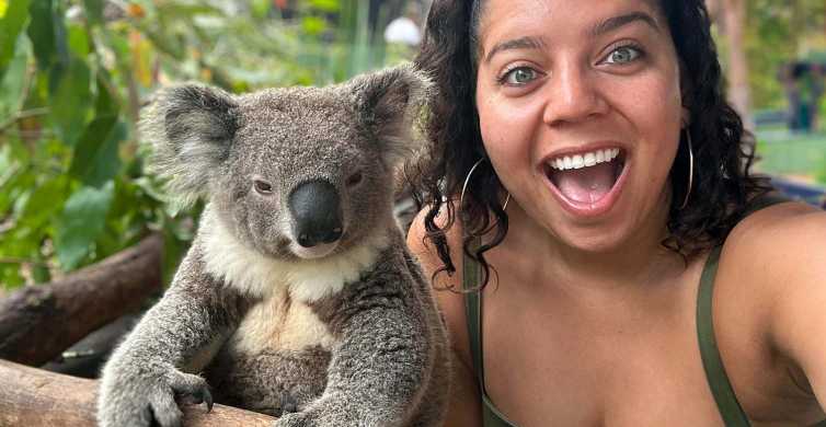 Sydney: Příroda a divoká zvěř - Austrálie za jeden den