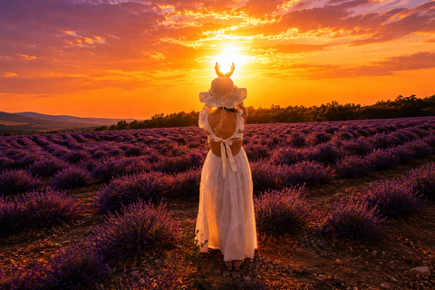 Verdon Gorge: An Extraordinary Private Provence Experience