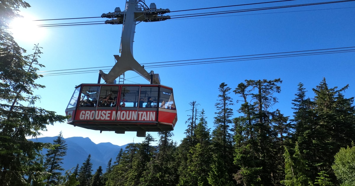 Lynn Canyon, Suspension Bridge & Grouse Mount Private Tour | GetYourGuide