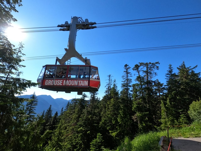 Lynn Canyon, Suspension Bridge & Grouse Mount Private Tour