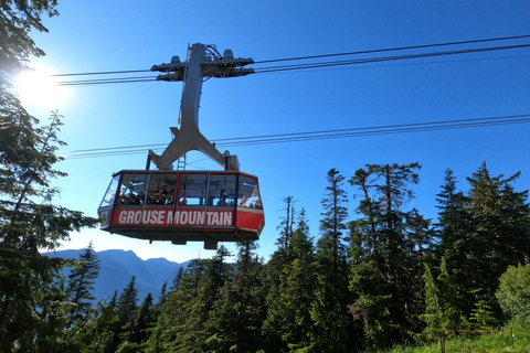 Stanley Pak-Capilano Susp Bridge &amp; Grouse Mount Privat tur