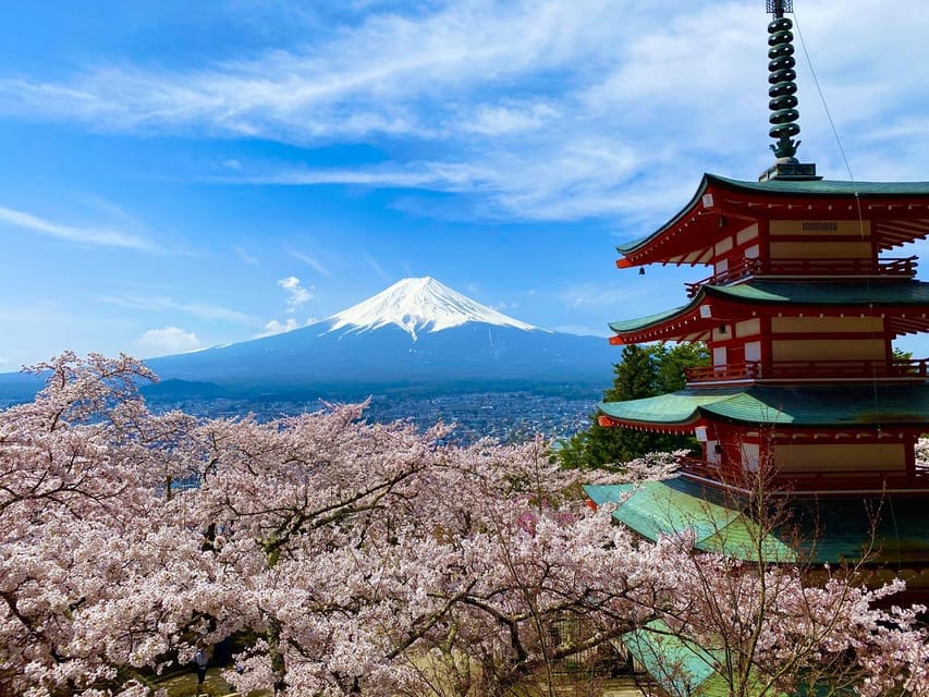 富士山美景、忠灵塔和箱根游船一日游| GetYourGuide