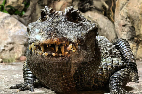 Gadoland Exotic Animals Exhibition Entry Ticket