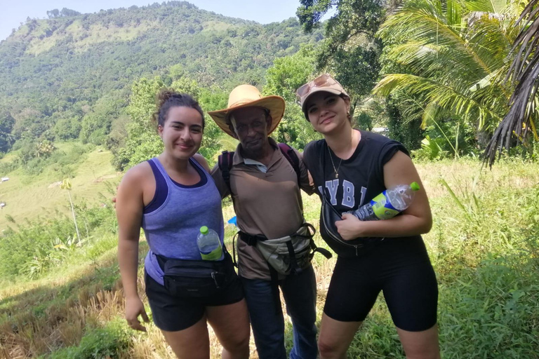 Kandy: Knuckles Mountain Range Full-Day Hike with Lunch