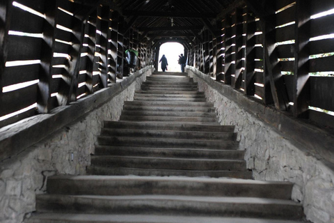 Brasov: Sighisoara & Viscri Village Private Tour