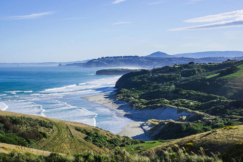 Dunedin City & Otago Peninsula Scenery Day Tour Private Tour