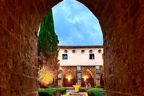 From Madrid: Discover the Monasterio de Piedra and the Kingdom of Aragon Explore the Stone Monastery and discover Sigüenza in a small group