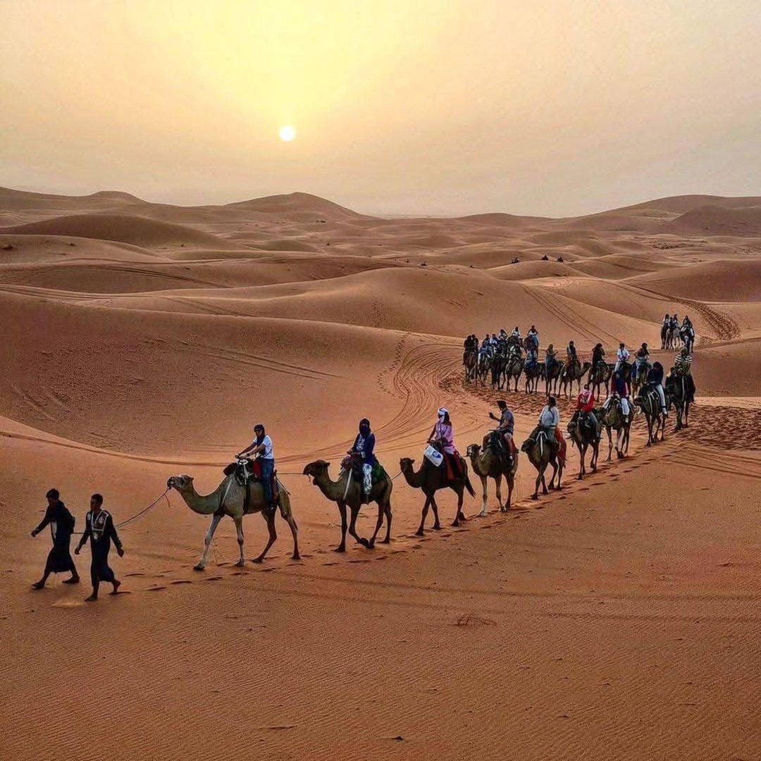 Depuis Fès : excursion de deux jours à Merzouga et Ouarzazate, puis à Marrakech - bivouac