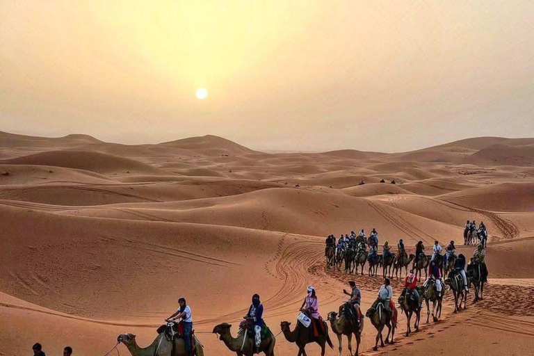 Marrakech: 3-Day Luxurious Desert Tour to Fes via Merzouga. Shared Tour: Standard Accommodation.