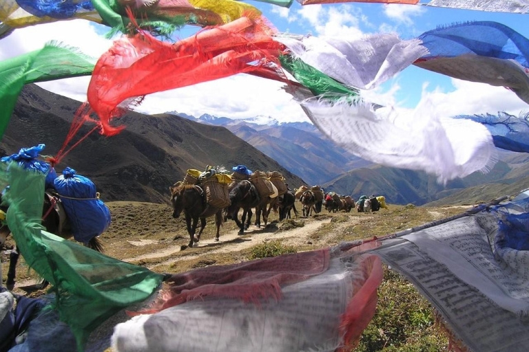 Bhutan Schneemann Trekking