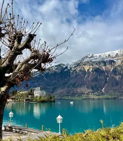 Best of Switzerland Berner Oberland Tagestour mit Seilbahn