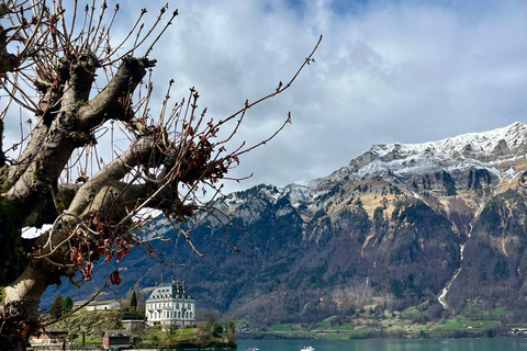 Best of Switzerland Berner Oberland Tagestour mit Seilbahn