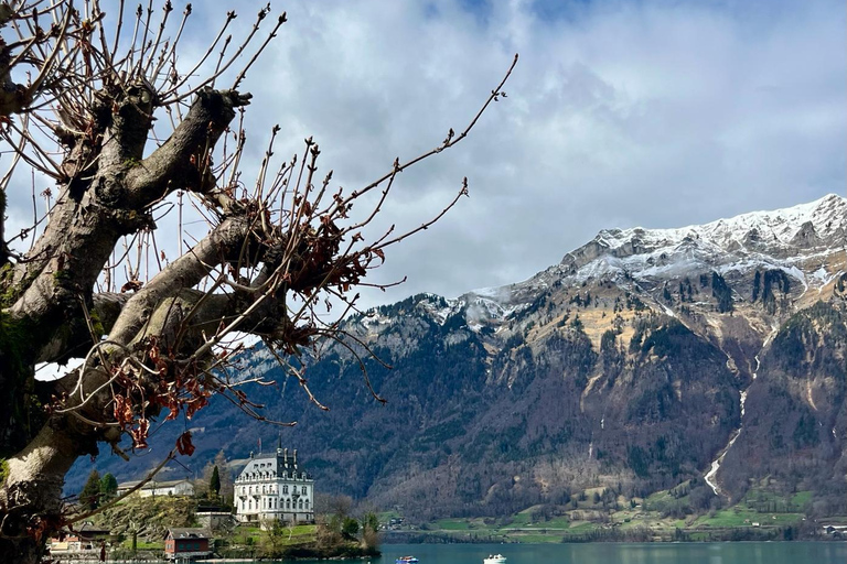 Best of Switzerland Bernese Oberland Dagsutflykt med linbana