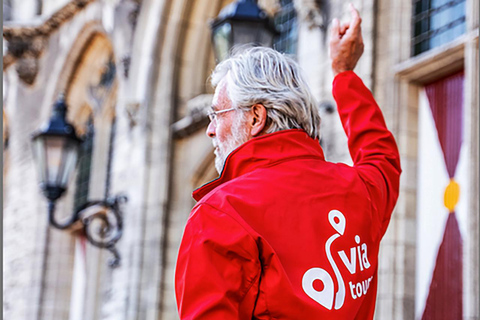 Middelburg: Guided Tour Townhall Middelburg