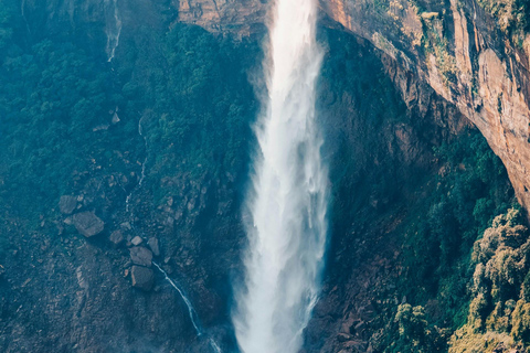 Aventura de Elite de Nikko: Tour guiado particular