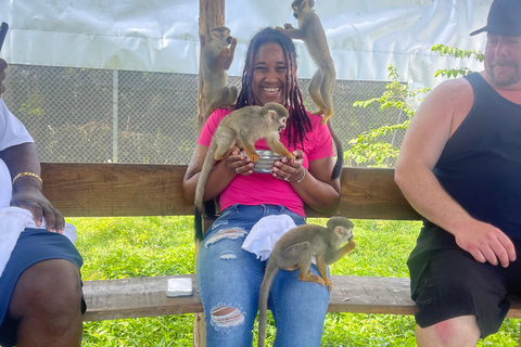 Amber Cove & Taino Bay: Private VIP Monkeys & Beach Escape