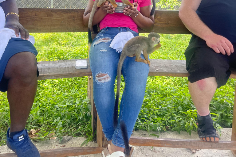 Amber Cove & Taino Bay: Private VIP Monkeys & Beach Escape