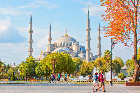 Santa Sofia e Moschea Blu + Cisterna Basilica (opzionale)Tour di Santa Sofia e della Moschea Blu con biglietti d'ingresso inclusi