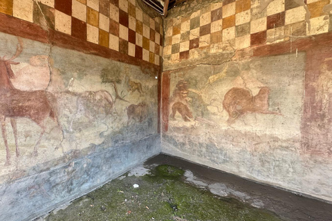 Pompeii Guided Tour