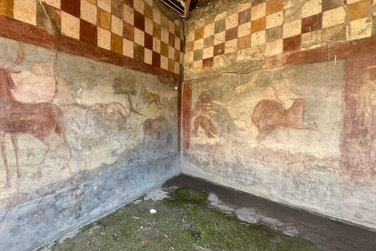 Pompeii Guided Tour