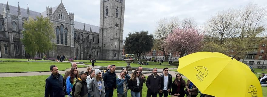 Dublin : visite à pied des sites incontournables en petit groupe