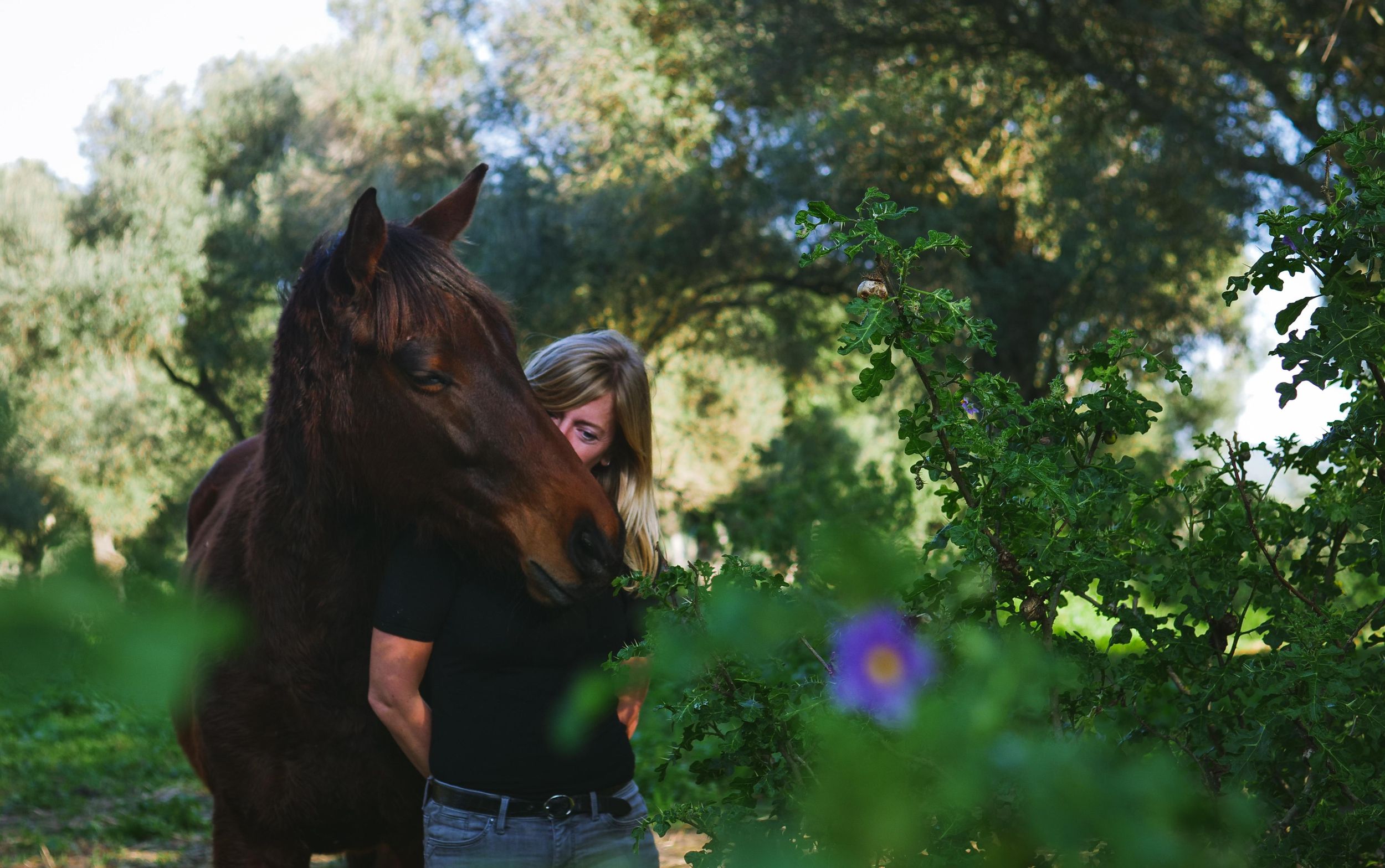 El Palmar: Reconecta gracias al Coaching con Caballos