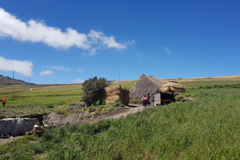 Da Quito: Tour di un giorno di Quilotoa con pranzo e bigliettoTour privato