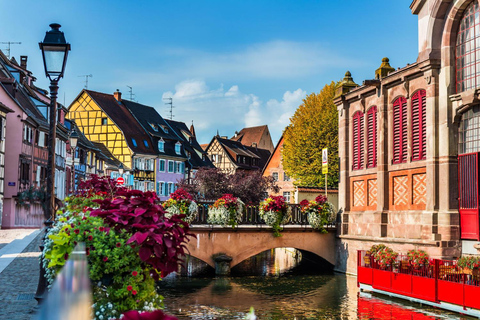 Colmar: Leg de meest fotogenieke plekjes vast met een plaatselijke bewoner