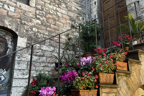 Assisi: Three Saints, St Carlo, Francis & Clare Walking Tour Spanish Tour