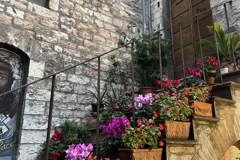 Assisi: Three Saints, St Carlo, Francis & Clare Walking Tour Spanish Tour