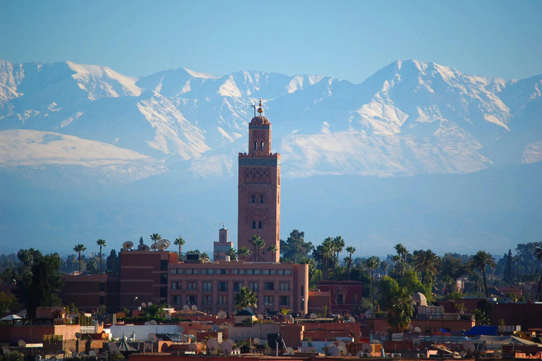 From Agadir: Marrakech Medina & Souks Guided Day Trip