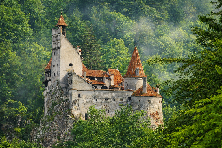 Brașov: Visit a Transylvanian Village Home near Bran Castle From Brașov to a Traditional Village Home in the Bran Area