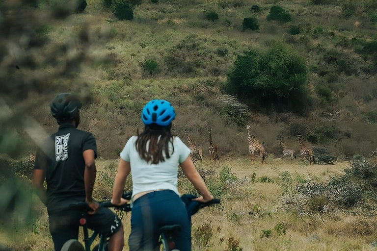 Arusha : Safari à vélo dans le parc national