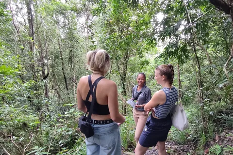 Langkawi SkyTrail Hiking and Cable Car Experience