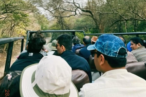 From Delhi: Ranthambore Wildlife Safari Tour with Transfers