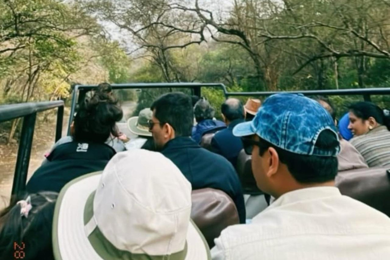 From Delhi: Ranthambore Wildlife Safari Tour with Transfers