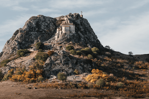 Depuis Tbilissi : Excursion d&#039;une journée dans le parc national de Vashlovani