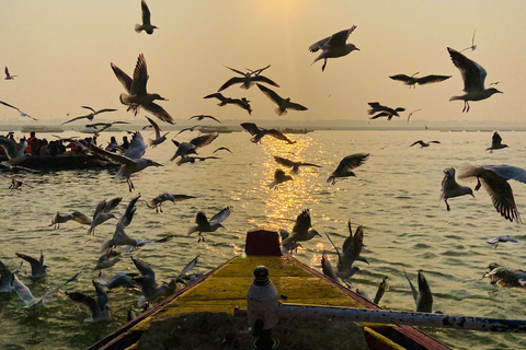 Marigold Boat trip to feel Kashi