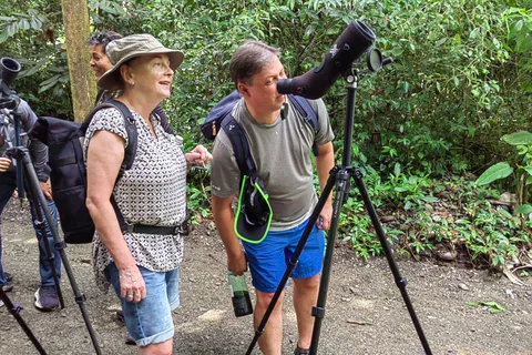 Manuel Antonio: il miglior tour per vedere i bradipi nel Parco Manuel Antonio
